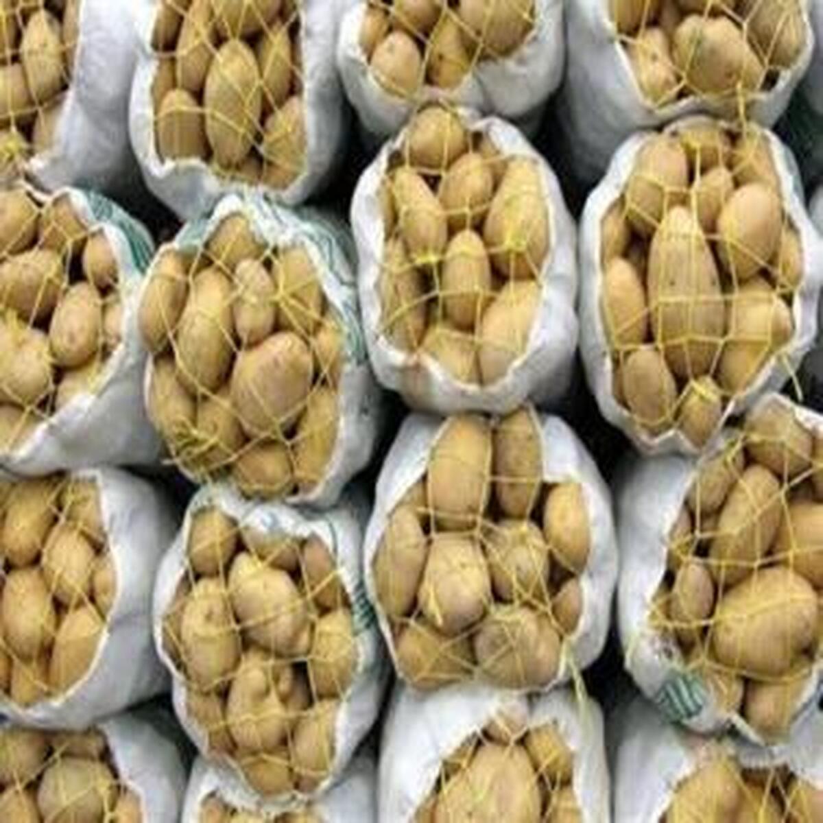افزایش قیمت سیب‌زمینی به پایان رسید!