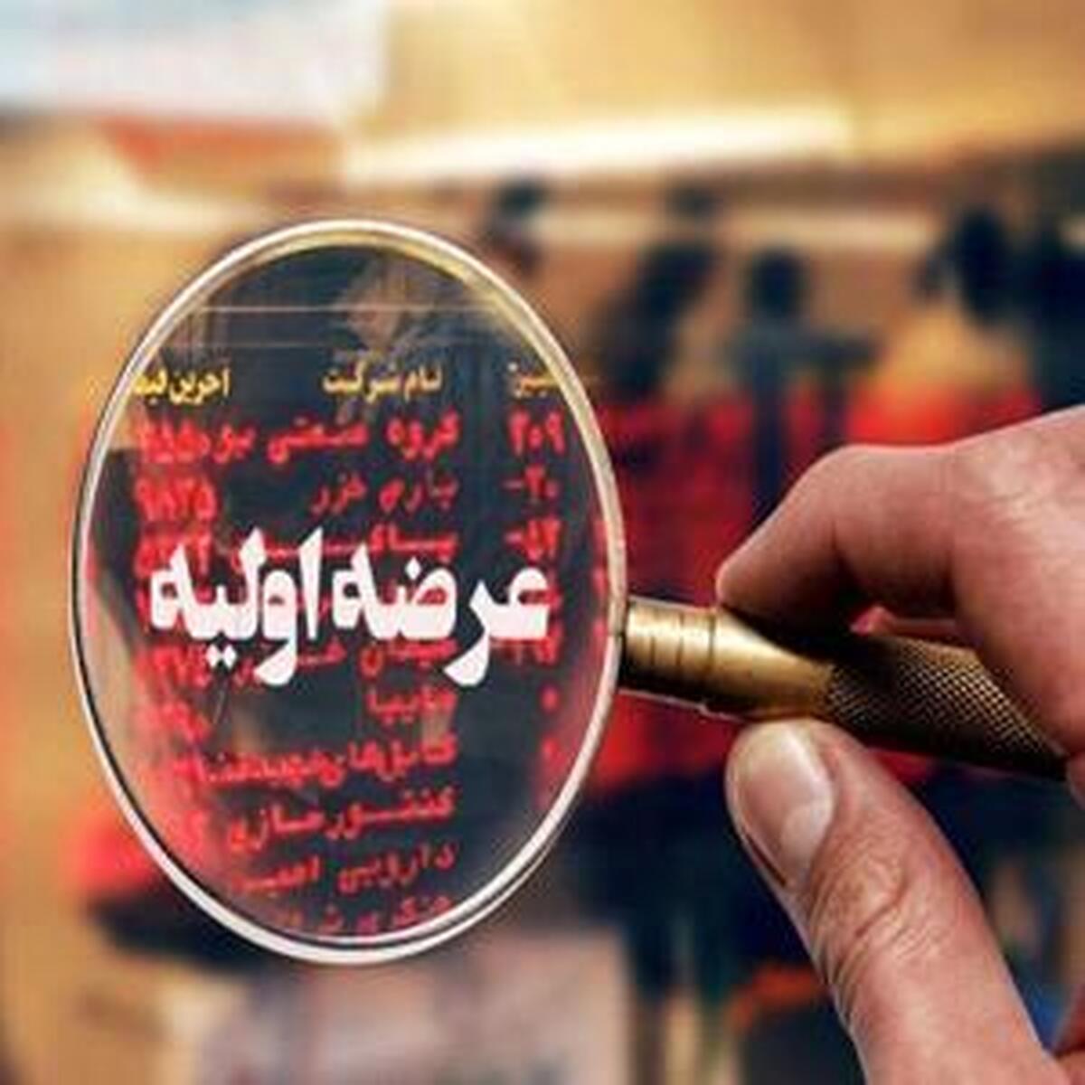 معرفی اولین عرضه اولیه سال جاری امروز به بازار می‌آید