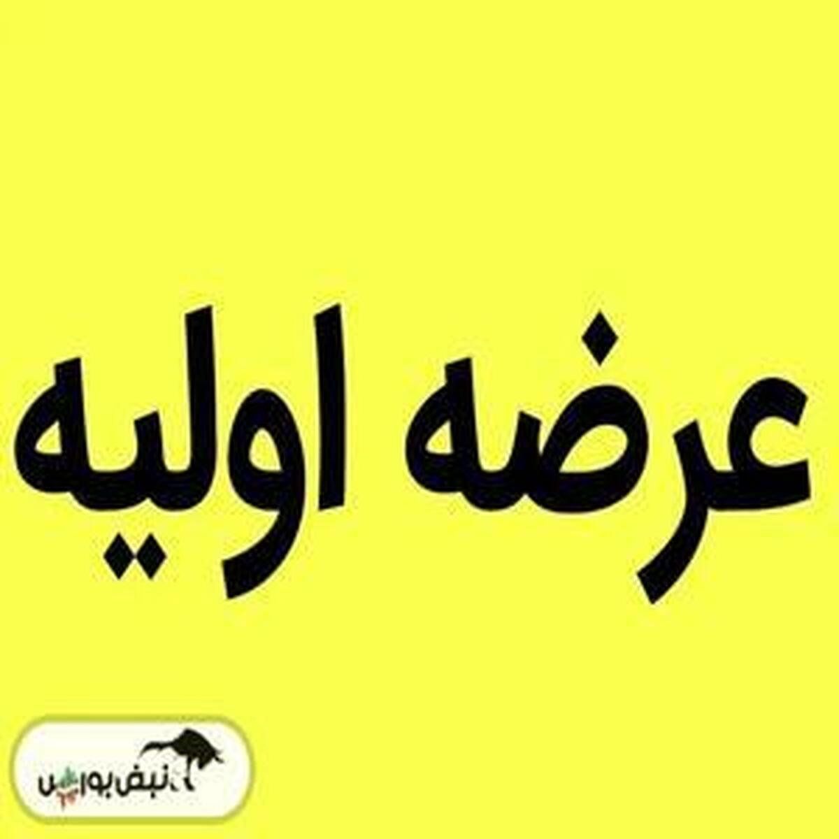 تحلیل بازدهی عرضههای اولیه در سال ۱۴۰۳ | کدام عرضهها موفق و کدام ناموفق بودند؟