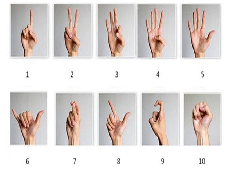 با اصطلاحات مهم چینی برای سفر تجاری به چین آشنا شوید