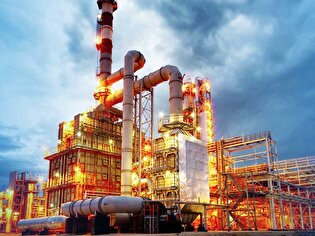 نرخ خوراک پتروشیمی به نفع تولیدکنندگان تعیین شود