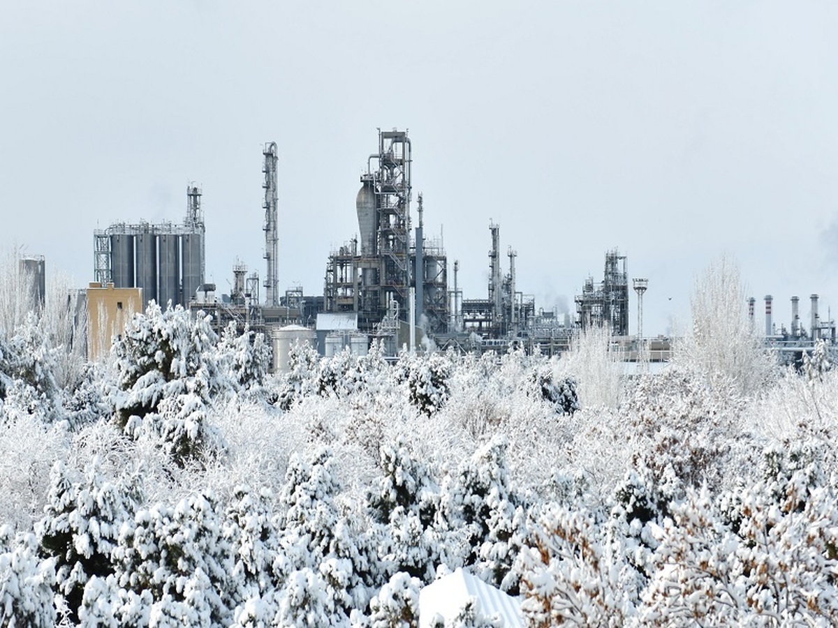 رشد ارزش معاملات پتروشیمی تبریز در سایه تنوع محصول و تقاضای پایدار