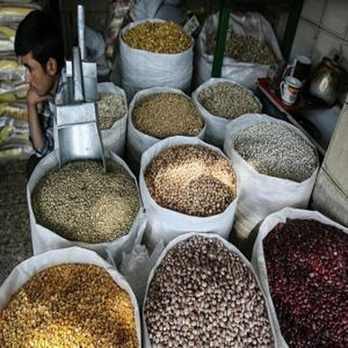 نوسانات قیمت لوبیا چیتی؛ آغاز تغییرات بازار در سال ۱۴۰۴