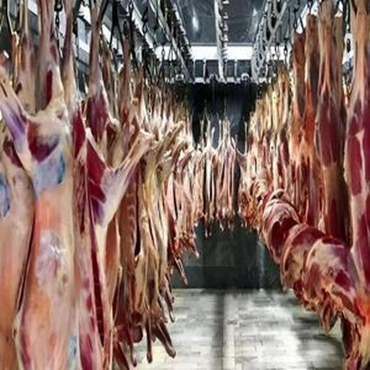 افزایش قیمت گوشت قرمز و کاهش نرخ مرغ در بازار