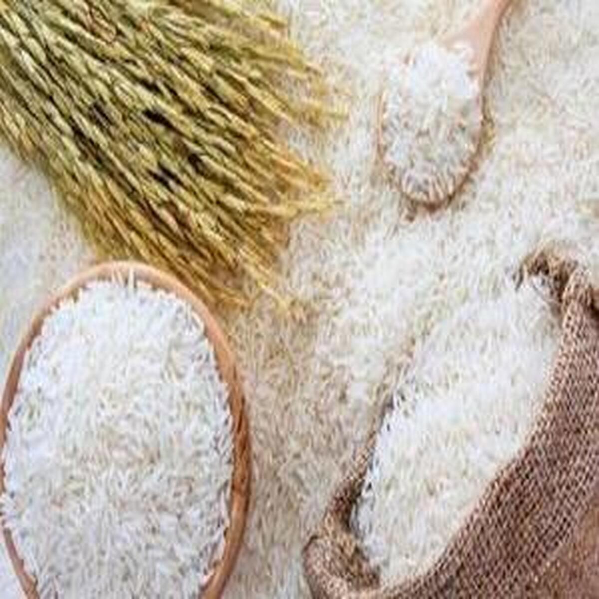 جنگ قیمتی برنج؛ آیا سودجویی شرکت‌ها مقصر است یا سیاست‌های نادرست؟