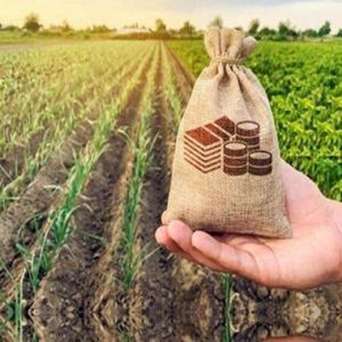 ثبت رکورد تازهای در پرداخت غرامت صندوق بیمه بدون وابستگی به بانک کشاورزی