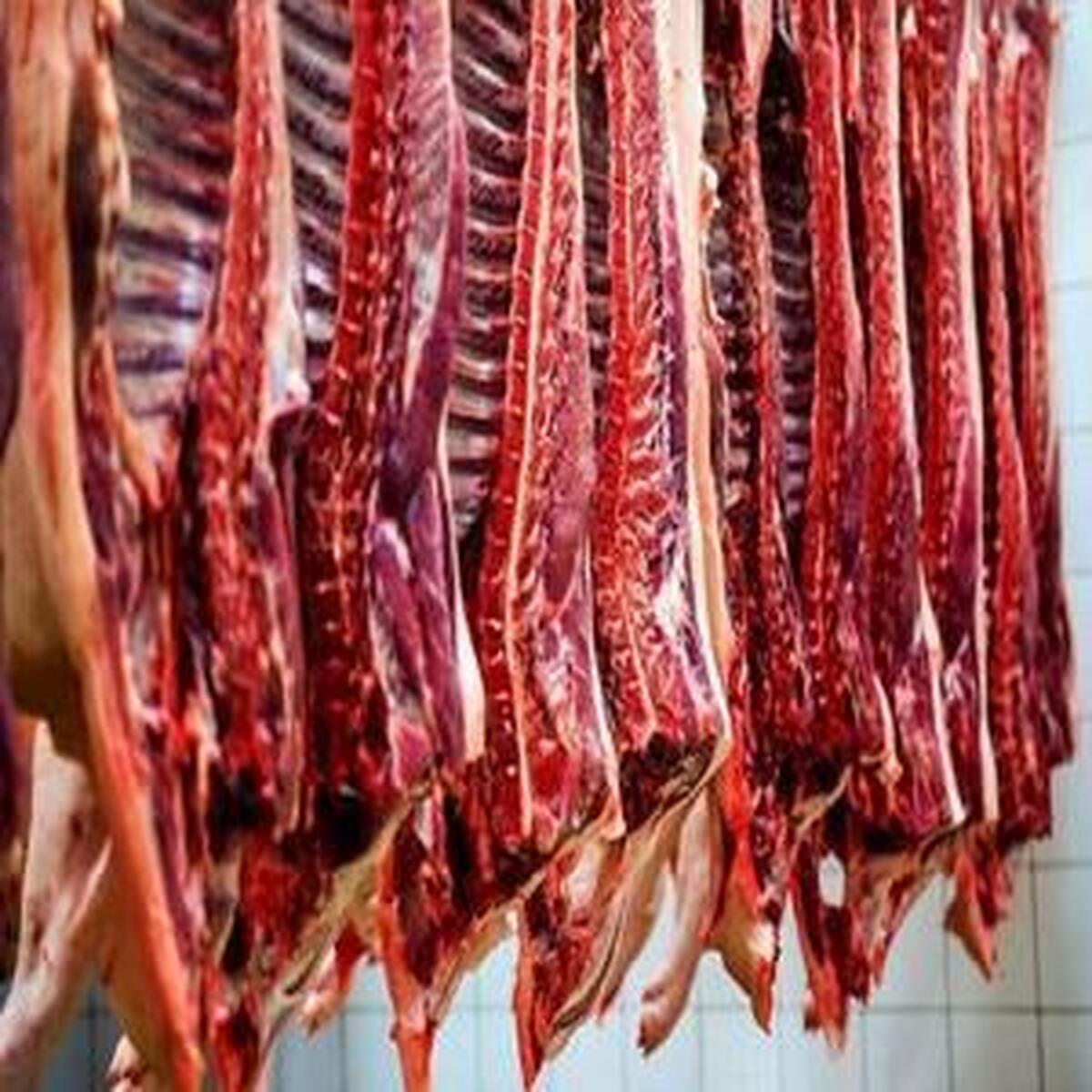 آغاز رقابت تازه برای صعود قیمت گوشت