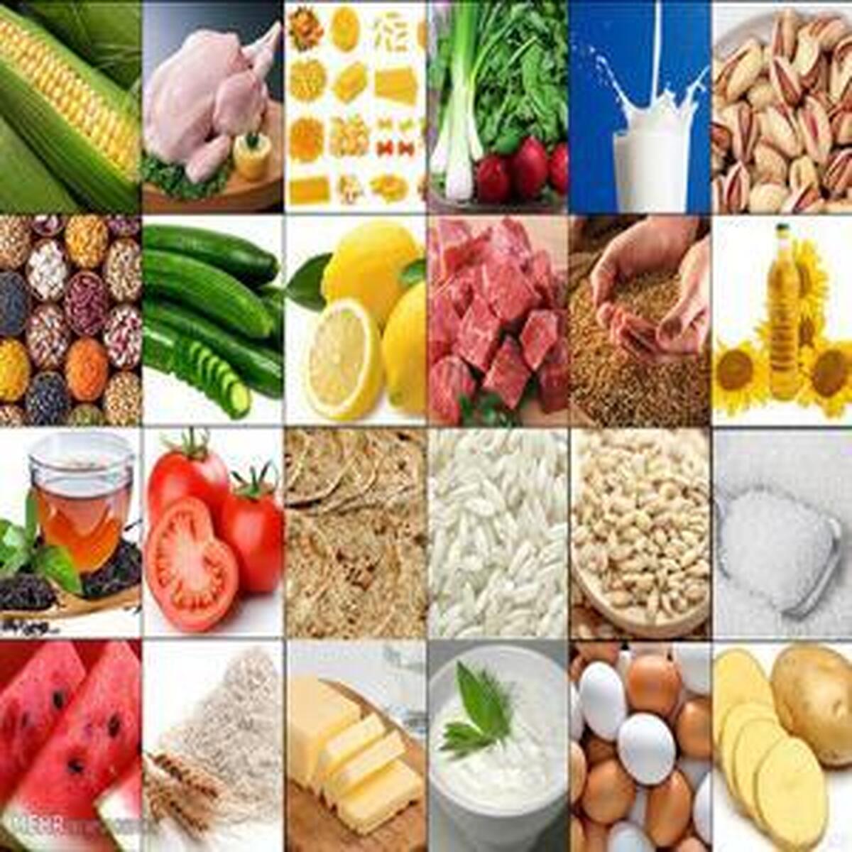 گوشت و فرآورده های گوشتی بیشترین افزایش را داشتند