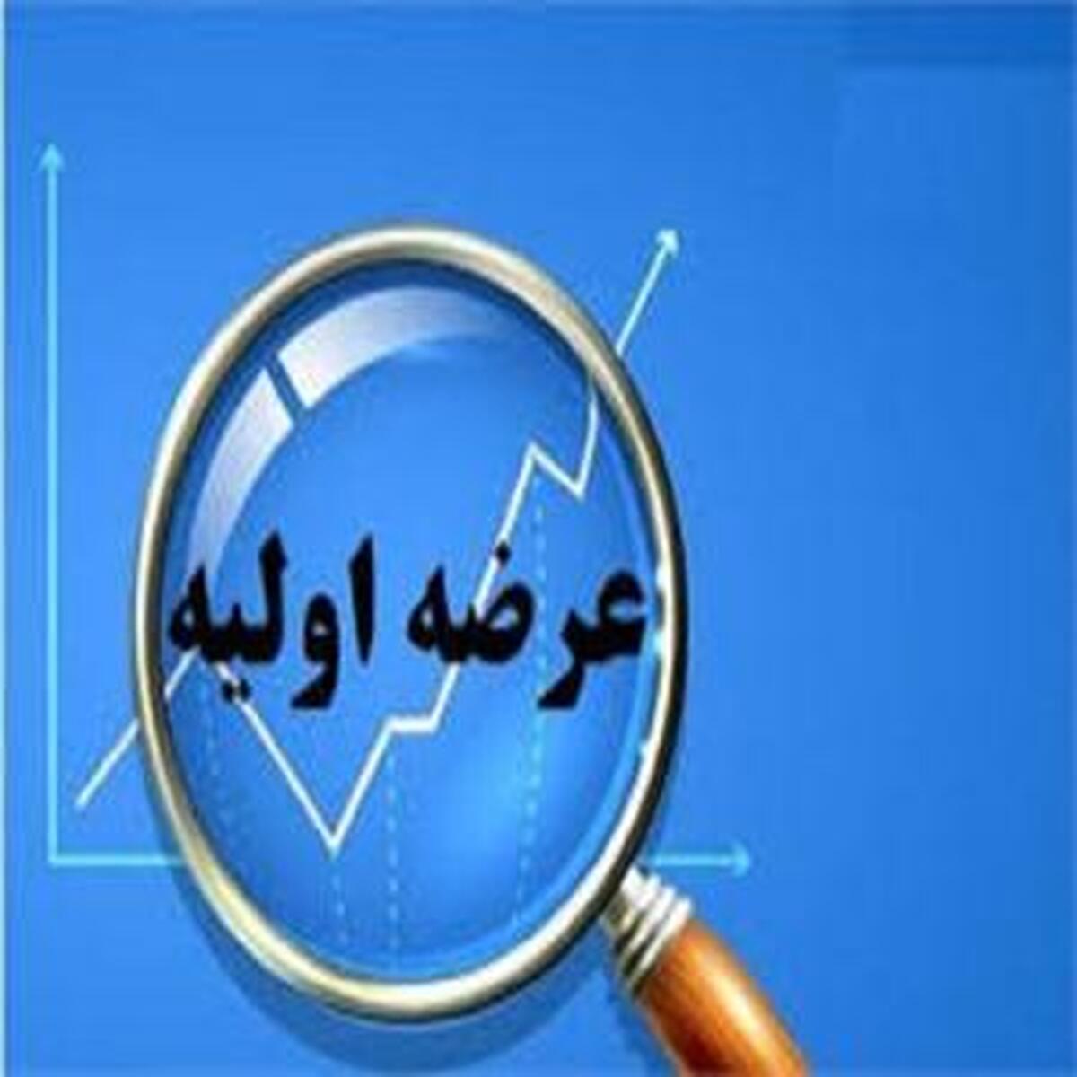 جزئیات تازهای از عرضه اولیه