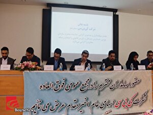 سرمایه سرمایه