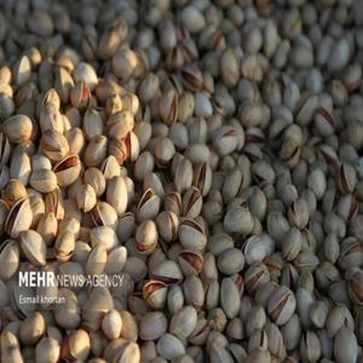 آیا پسته ایرانی امسال به بازارهای اروپا راه پیدا خواهد کرد؟