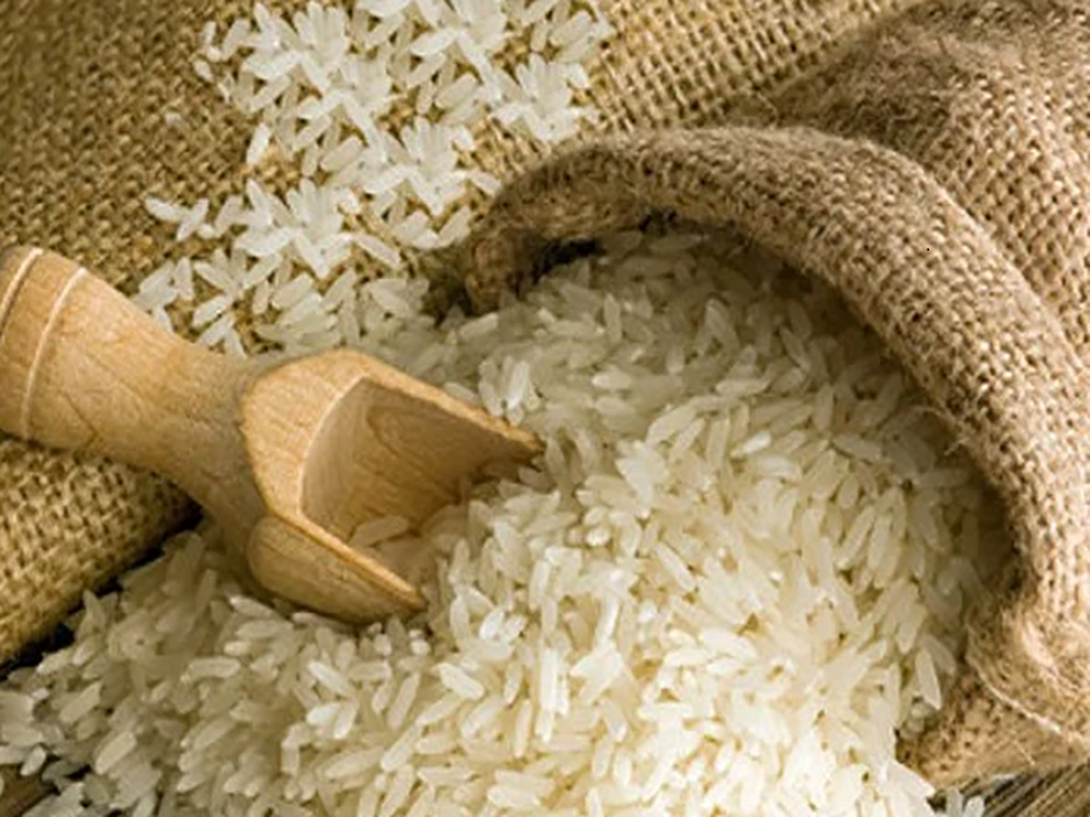 لغو ممنوعیت ترخیص برنج در ایام برداشت