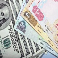 استفاده از ارزهای ملی بریکس، راهی برای رهایی از فشارهای غربی