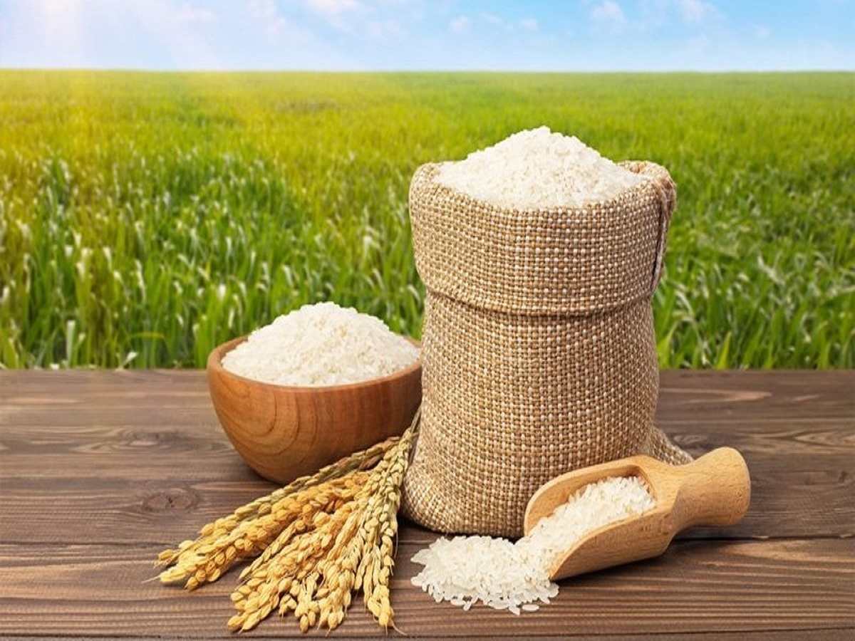 قیمت برنج کاهش می یابد