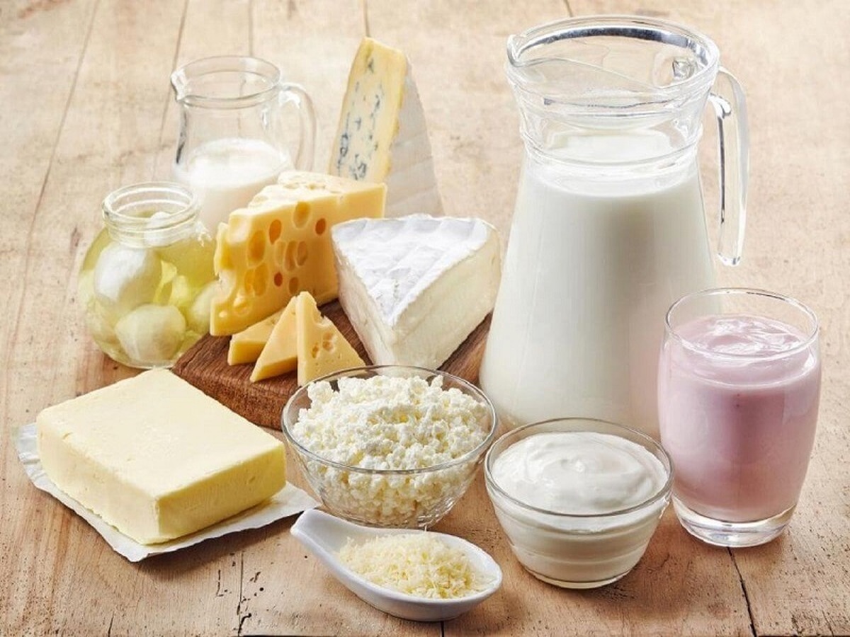 قیمت لبنیات کاهشی می شود