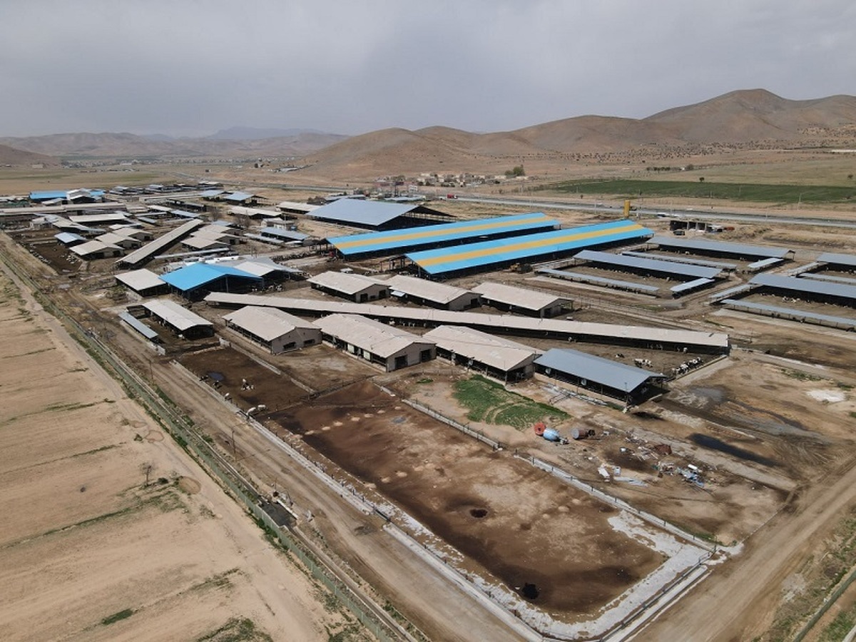 افزایش سود عملیاتی 