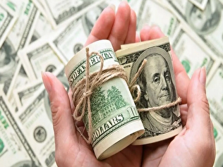 دلار، وزرای اقتصاد را بلعید؛ ۴۰ سال تجربه شکست خورده