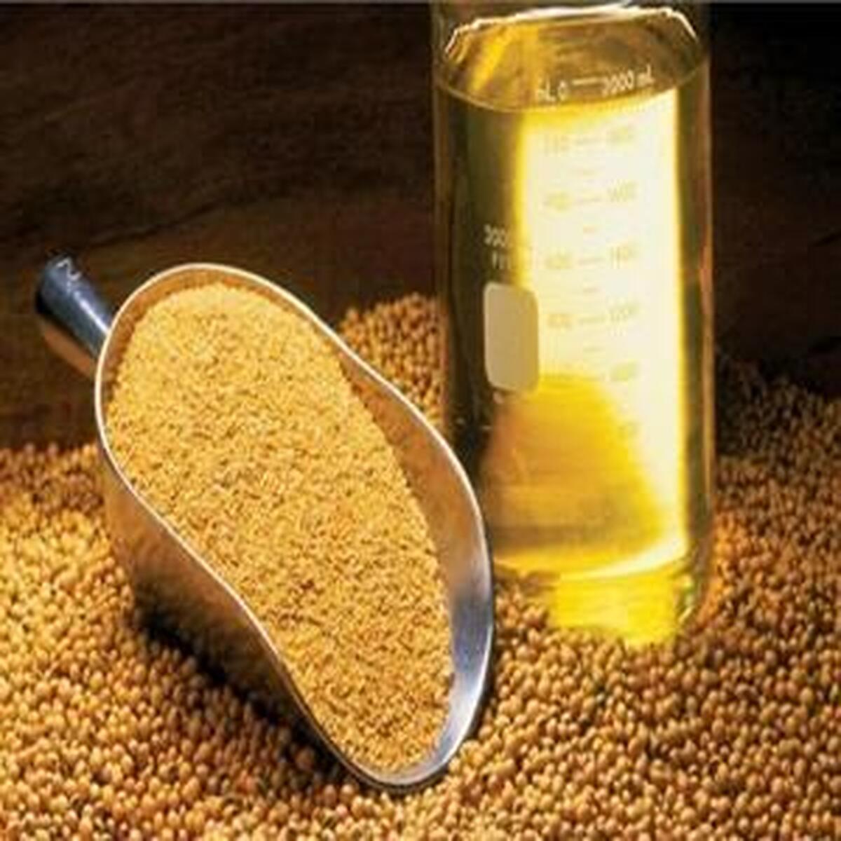ثبت سفارش واردات روغن خام با استفاده از ارز ترجیحی