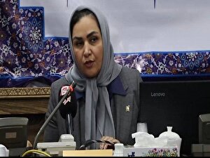 عرضه اولیه نیان باتری در مراحل پایانی/ سرمایه 