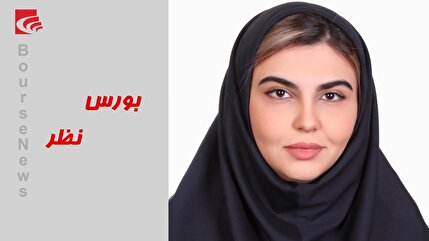 نقش سیاستگذاران در مهار نوسانات بازار؛ راهکار‌ها از شفاف سازی تا تنوع اقتصادی