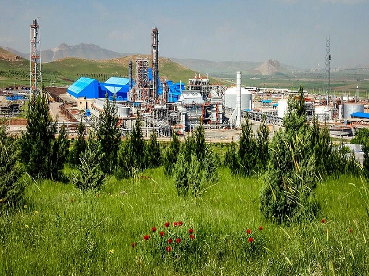 عدم توجه عملی به شعار سال با توقیف دارایی پتروشیمی ها توسط شرکت گاز