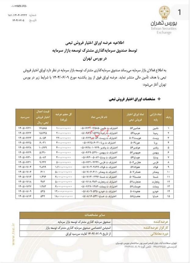 عرضه اوراق اختیار فروش تبعی با هدف تامین مالی