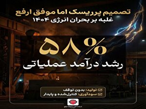 تصمیم پرریسک، اما موفق؛ خرید برق گران‌تر، مانع توقف تولید و افت سودآوری 