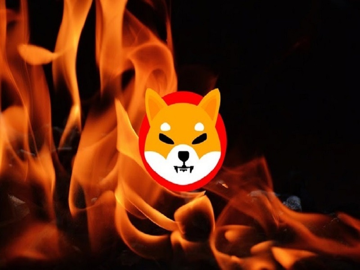 تا امروز چند شیبا سوزانده شده‌است؟ گزارش کامل توکن سوزی شیبا
