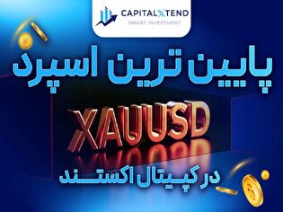 کمترین اسپرد در میان تمامی بروکر‌های فارکس (از صفر پیپ برای طلا، یورو، دلار و نفت)
