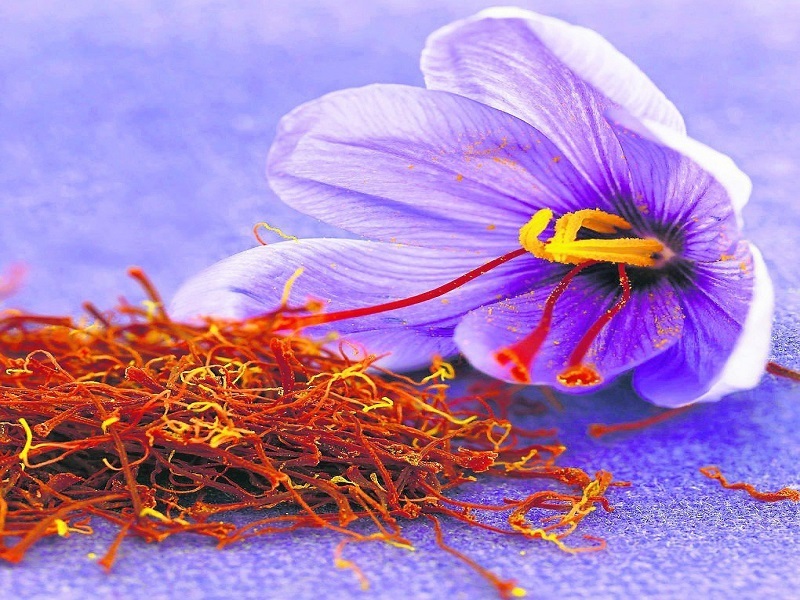 رکوردشکنی زعفران در بورس کالا