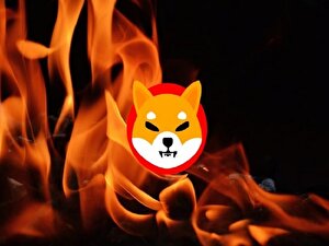 تا امروز چند شیبا سوزانده شده‌است؟ گزارش کامل توکن سوزی شیبا