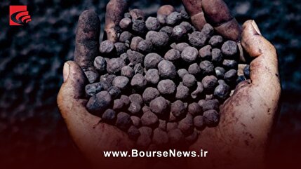 گندله ستون اصلی درآمدزایی گهرزمین باقی ماند