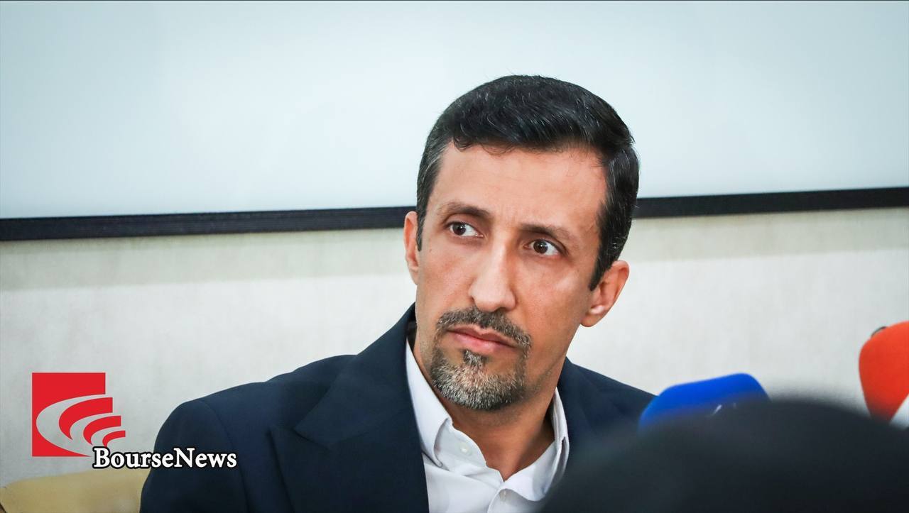 پتروشیمی&zwnj;ها محور استراتژی جدید سبدگردان سورین شدند