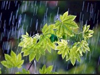 امروز؛ نیمی از کشور بارانی می شود