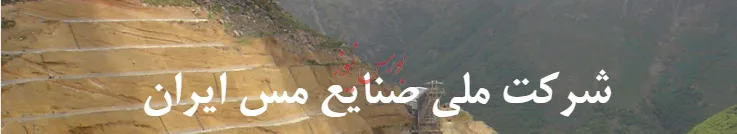 زمان تشکیل مجمع «فملی» مشخص شد