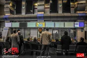 نفتی‌ها برنده رالی سودسازی