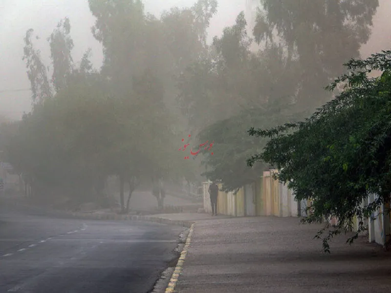 باد شدید