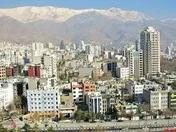 شریک 