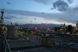 پتروشیمی شازند ۲۷۶ میلیارد تومان درآمد هفتگی داشت