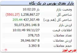 با گذشت یک ساعت از آغاز معاملات شاخص افت ۵۵۰۱ واحدی دارد
