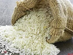 لغو ممنوعیت فصلی واردات برنج در سال جاری