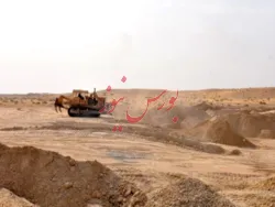 سهامداران 