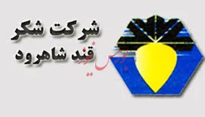 آلارم کاهش کشت چغندرقند در کشور/ تصفیه شکر توجیه اقتصادی ندارد