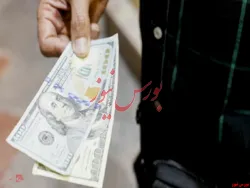 کاهش قیمت ۷ ارز/ نرخ ۲۹ ارز افزایش یافت
