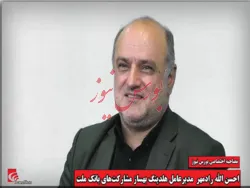 تلاش برای عرضه شرکت های زیرمجموعه به بازار سرمایه / اقتصاد دستوری پاسخگوی نیاز کشور نیست و محکوم به شکست است