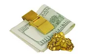 پیش‌بینی ناپذیری نرخ ارز در اقتصاد دستوری / احتمال کاهش نرخ دلار صفر نیست