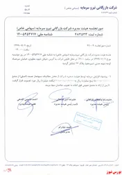 سرمایه زیرمجموعه 