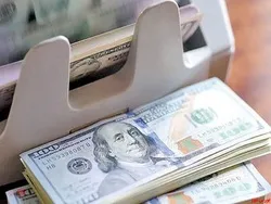 نرخ رسمی ۴۶ ارز امروز تغییری نکرد