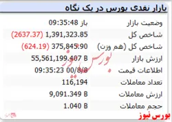 افت ۲۶۰۰ واحدی شاخص با گذشت ۳۰ دقیقه از بازار