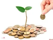 کاهش ۴۸ درصدی سودآوری 